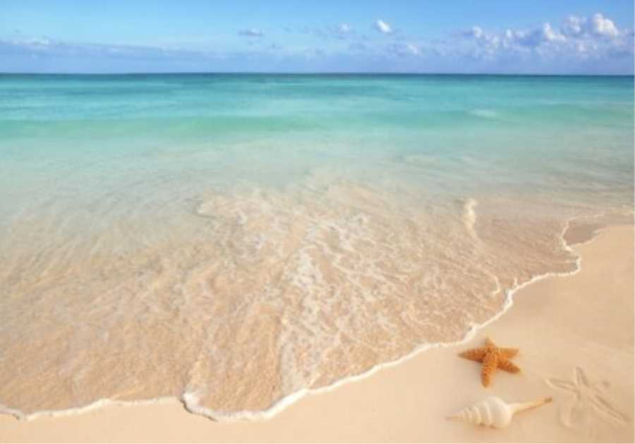 Initiatives bring food safety and security right into emphasis in the Caribbean