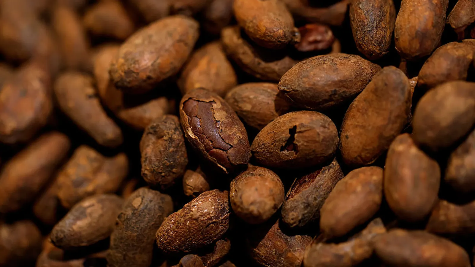 Can chocolate substitutes action in as chocolate rates soar?