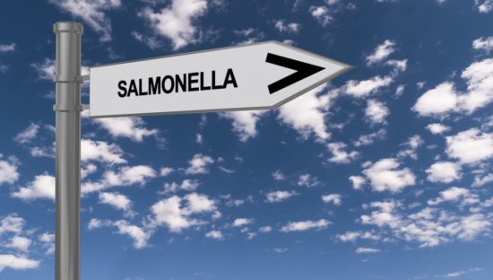 Campylobacter and Salmonella instances increase in England