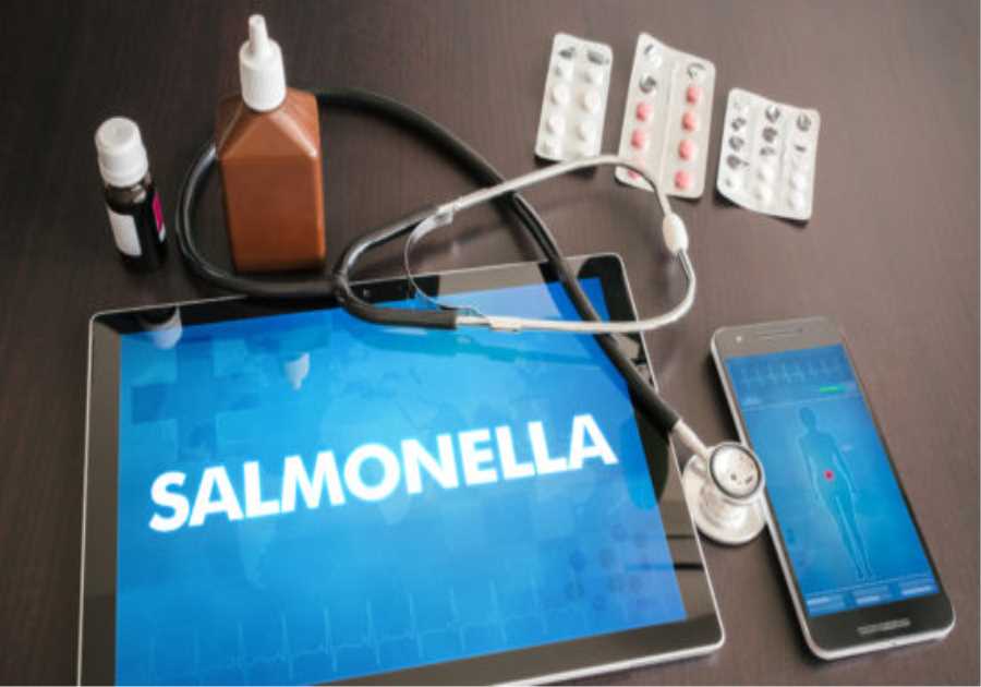 Salmonella strikes festivalgoers in Spain