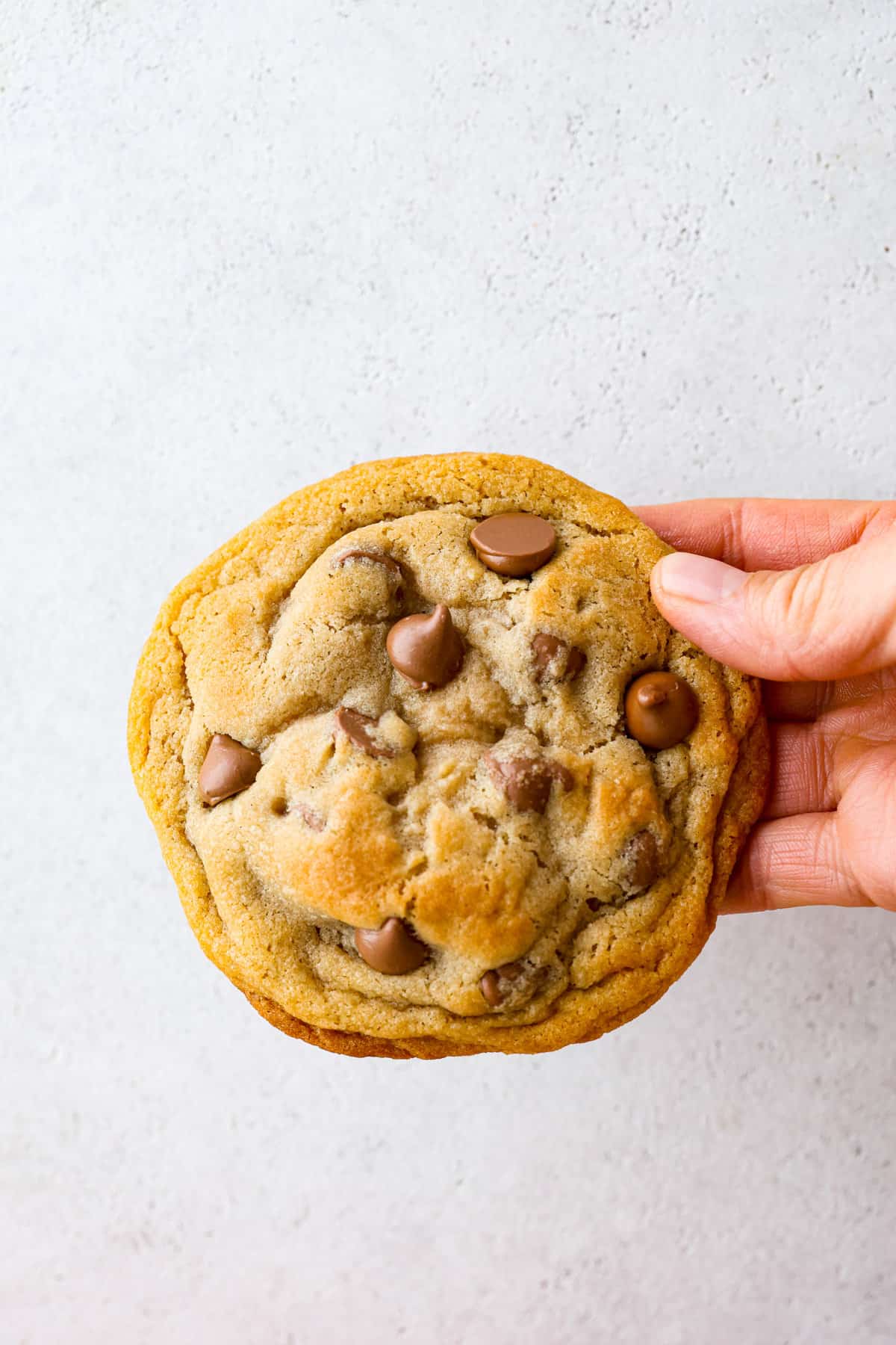 8 Imitator Recipes You'll Be Obsessed With (Taylor's Chai Cookies Consisted of!).