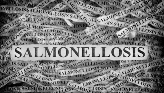 Researchers alert of Dutch Salmonella rise