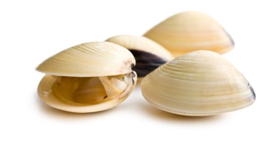 Portugal involved in seizure of clams, other enforcement procedures