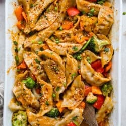 Potsticker Covered dish