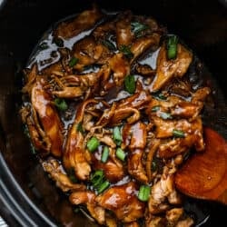 7 Dump and Go Freezer Suppers You'll Really Anticipate Consuming