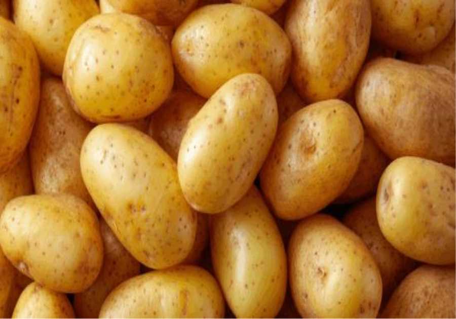 Publisher's Platform: Mystery Listeria Break out Examination needs to be Resumed