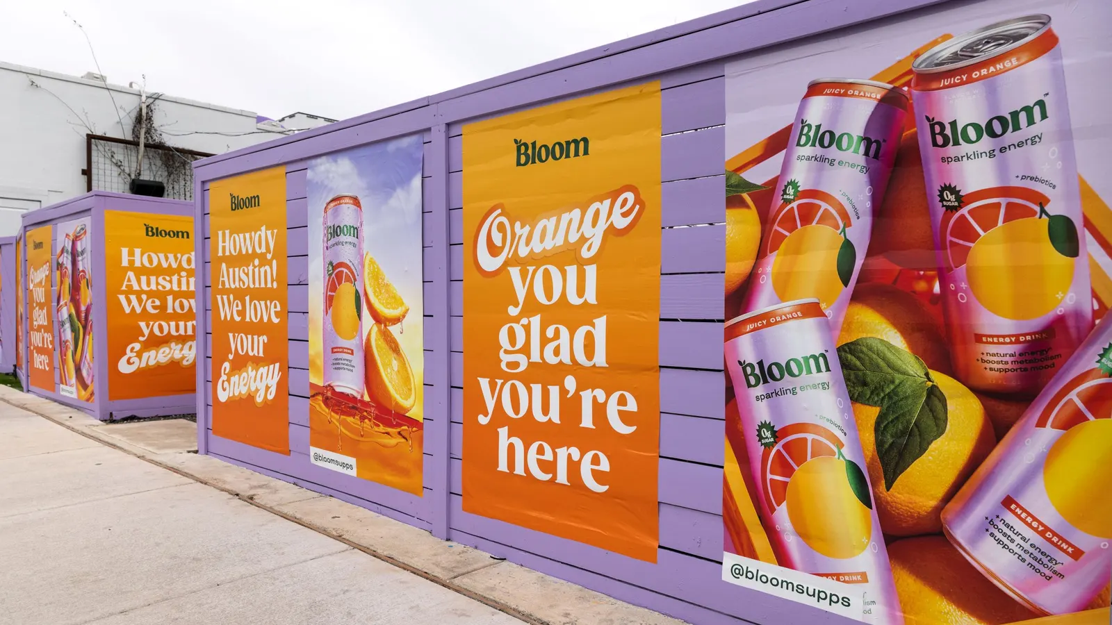 Nutrabolt enhances risk in Bloom Nutrition with almost $160M financial investment