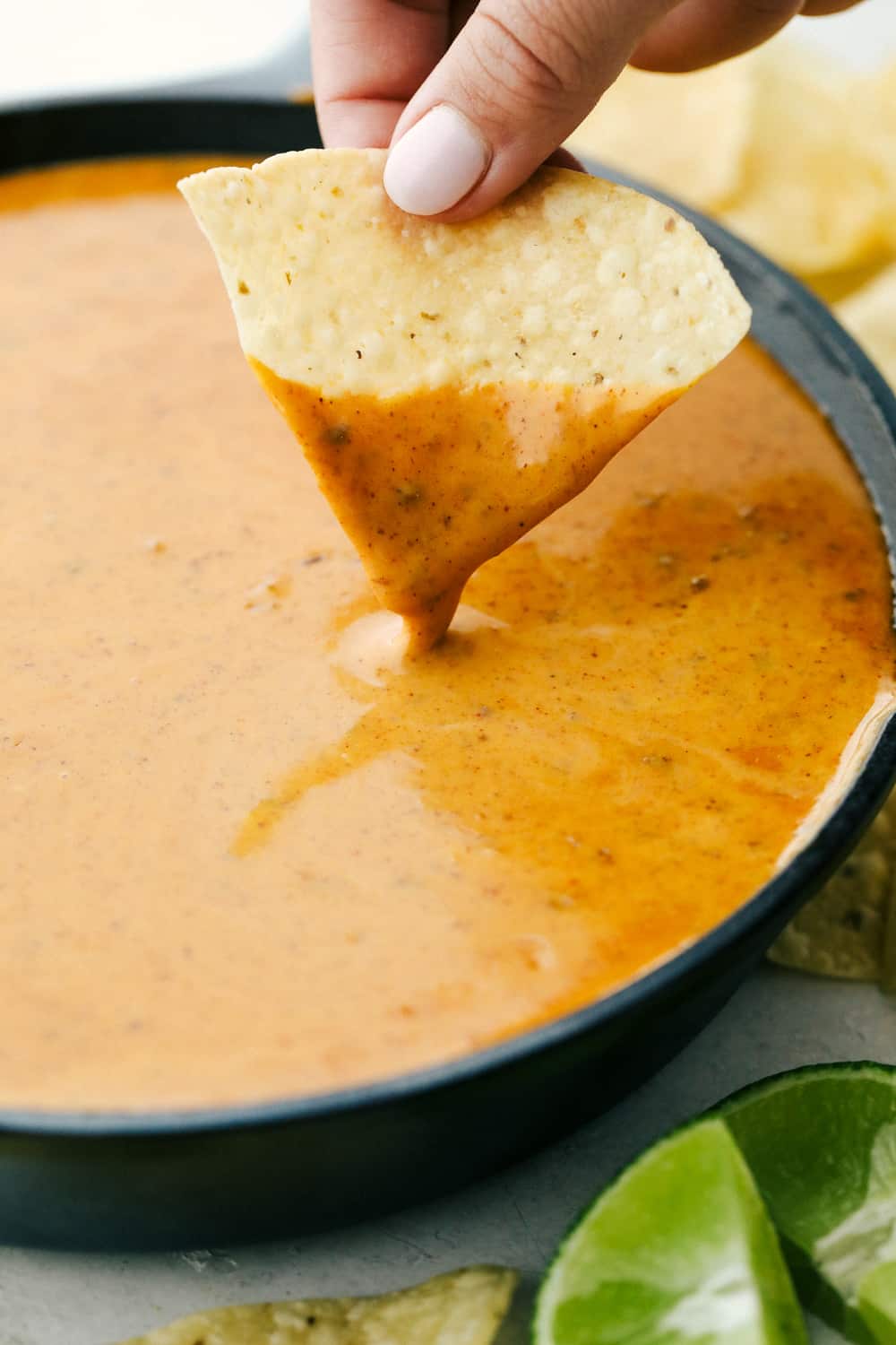 Filled Baked Potato Dip