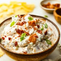 Filled Baked Potato Dip