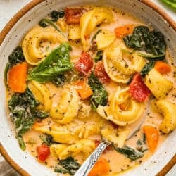 Creamy Vegetable Tortellini Soup