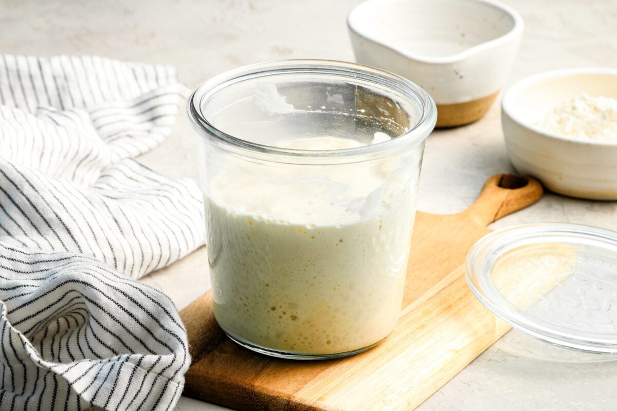 jar of bubbly sourdough starter