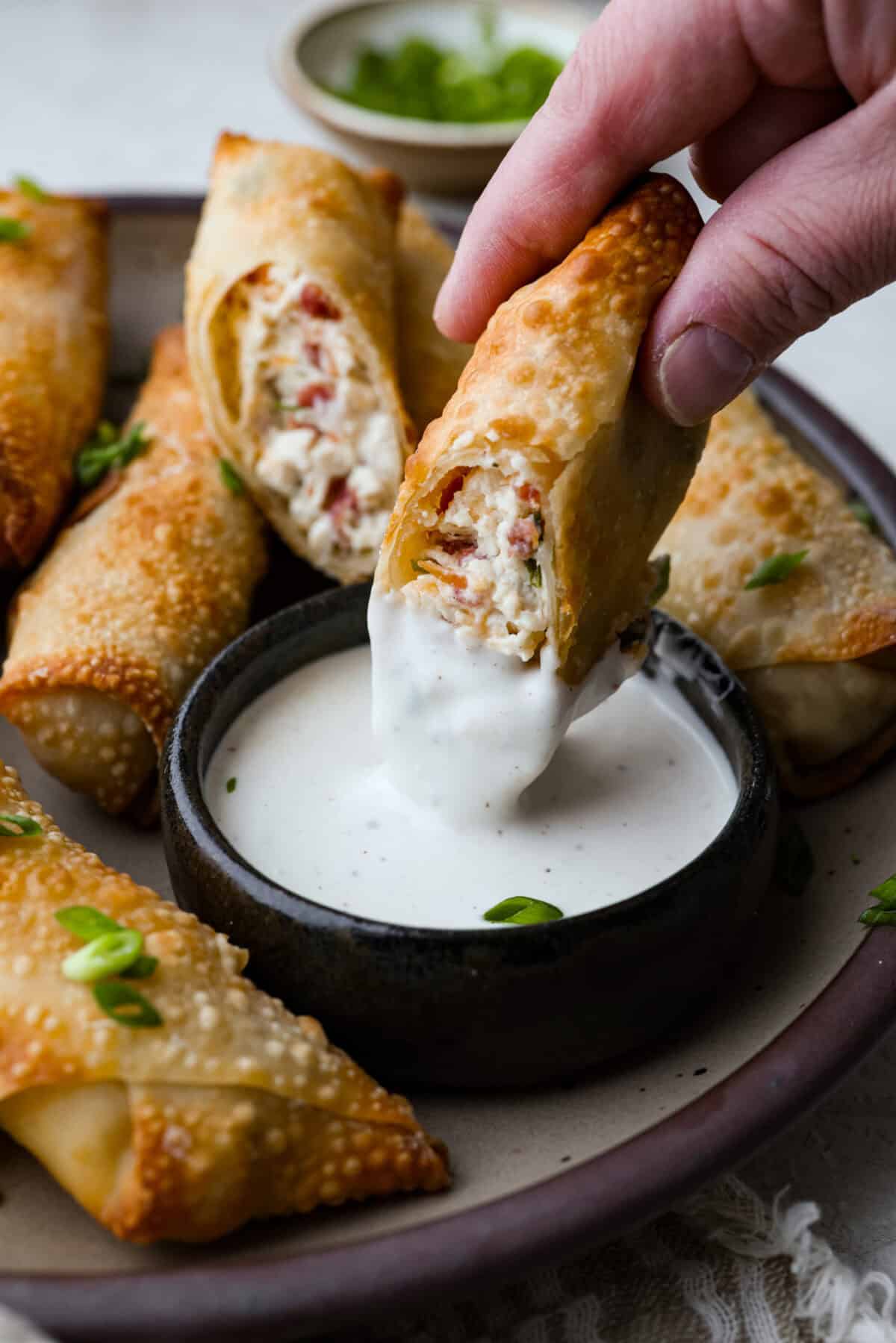 Crack Chicken Egg Rolls wrap savory chicken, crispy bacon, melty cheese, and zesty ranch in a golden, crunchy shell. Easy to make, lighter than deep-fried versions, and perfect for parties or game day! Someone dipping a crack chicken egg roll into ranch dressing.