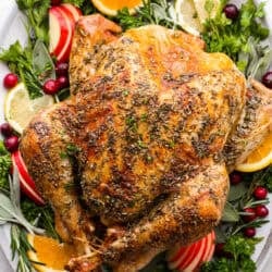 8 Thanksgiving Turkeys So Good You May Neglect the Sides