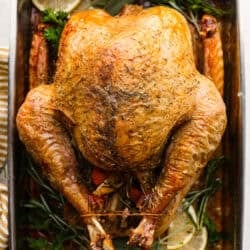 8 Thanksgiving Turkeys So Good You May Neglect the Sides