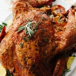 8 Thanksgiving Turkeys So Good You May Neglect the Sides
