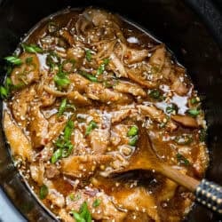 Slow Stove Korean Barbeque Poultry