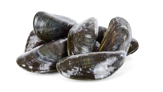 Information voids determined as component of toxins in fish and shellfish work