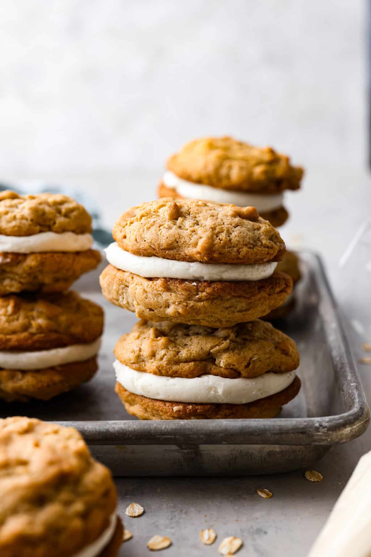 Person Hosting Cupcake Cookies