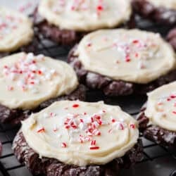 Chocolate Peppermint Cookies (Swig Copycat).