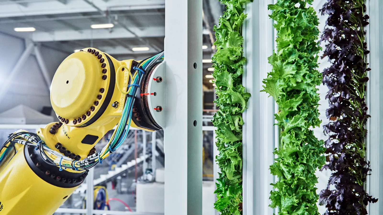 Lessons gained from 5 years of food tech investing