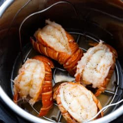 Instantaneous Pot Lobster