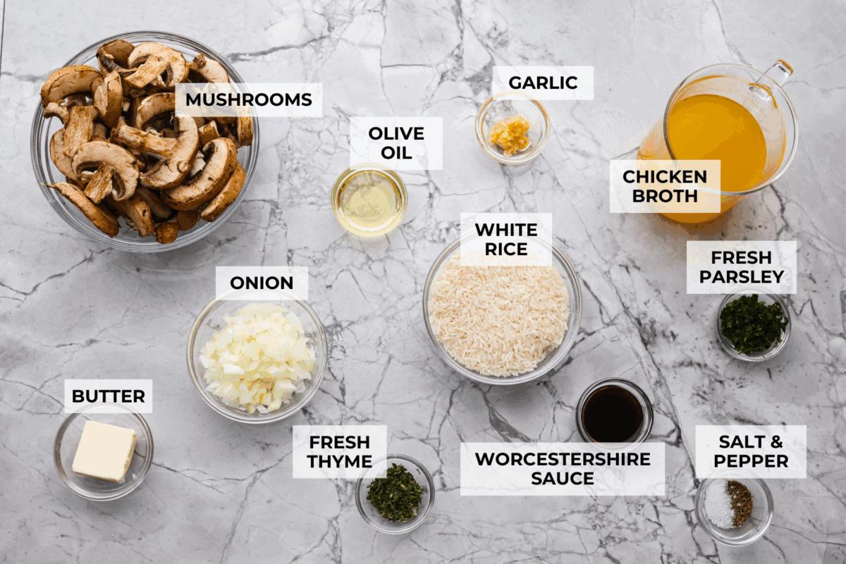 Overhead shot of labeled ingredients. 