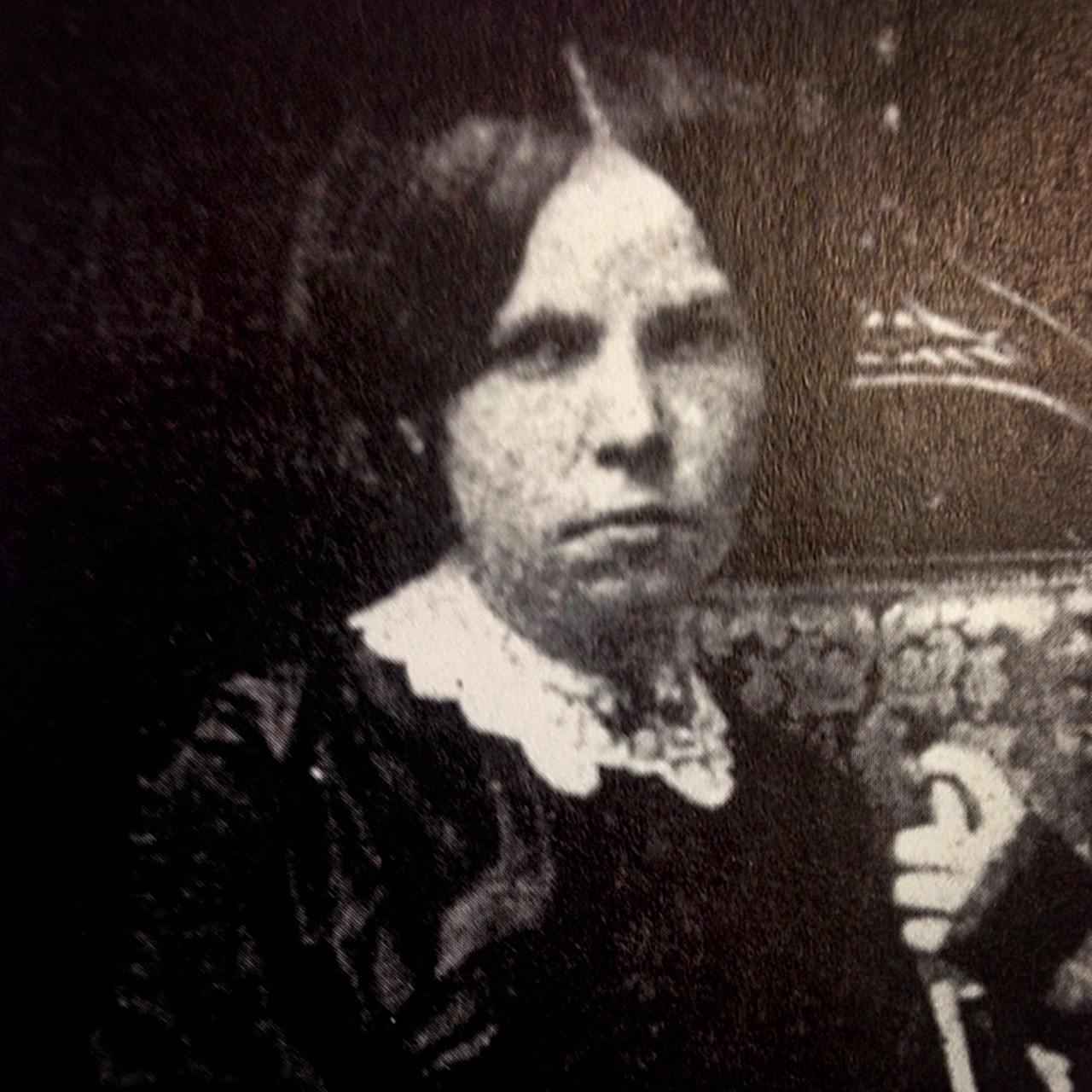 A Cranberry Cake at Xmas