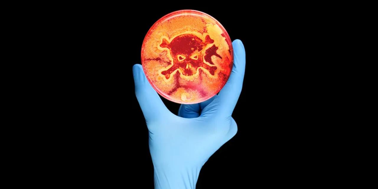 RIVM reports rise in Salmonella and E. coli