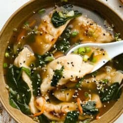 Potsticker Soup