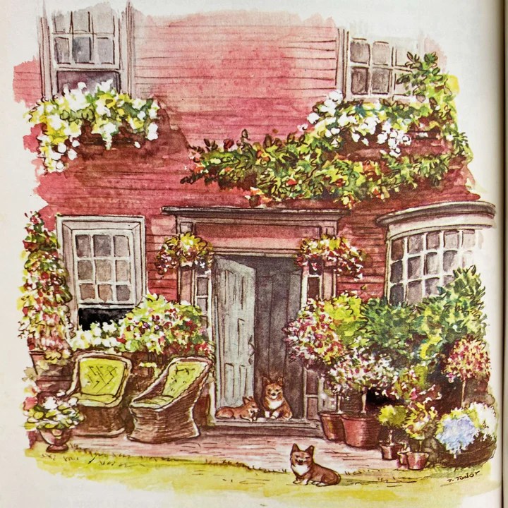 Checking out While Consuming: 13 Recommended Books regarding Life, Love