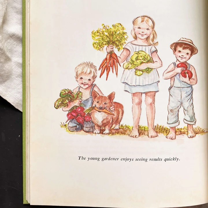 Checking out While Consuming: 13 Recommended Books regarding Life, Love