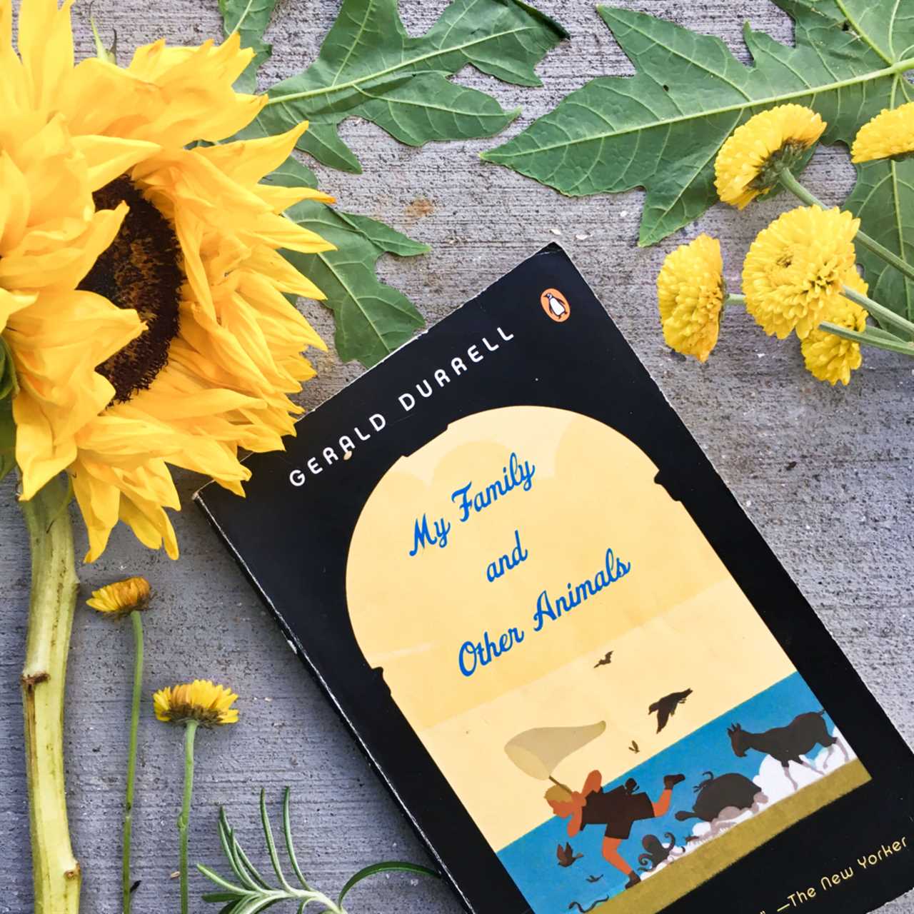 Checking out While Consuming: 13 Recommended Books regarding Life, Love