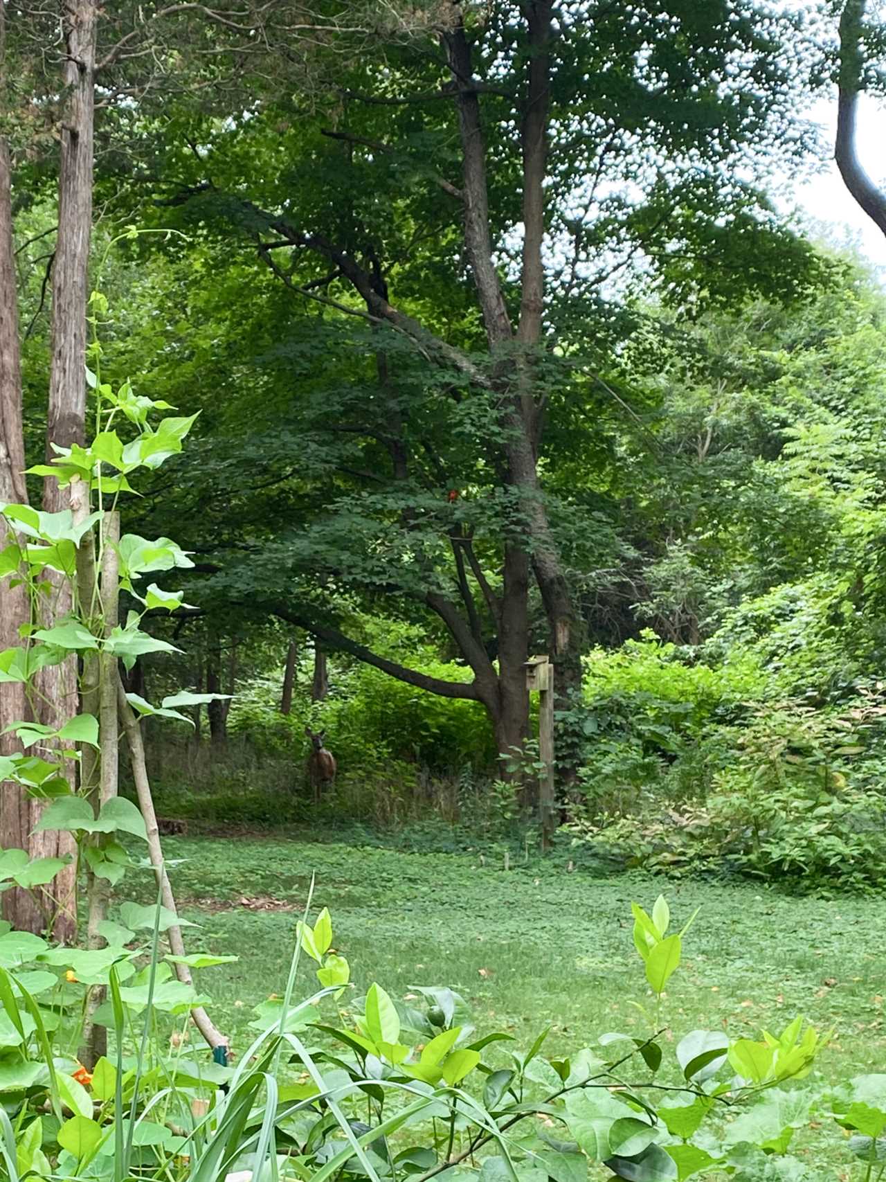 Checking out While Consuming: 13 Recommended Books regarding Life, Love