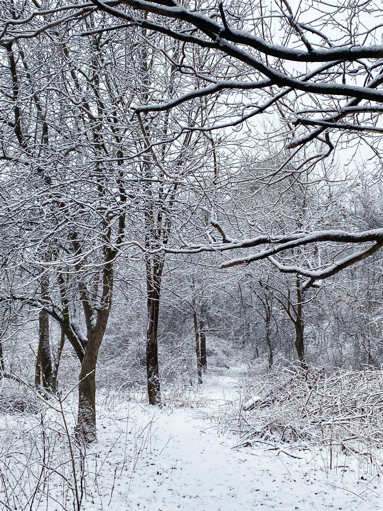 Checking out While Consuming: 13 Recommended Books regarding Life, Love