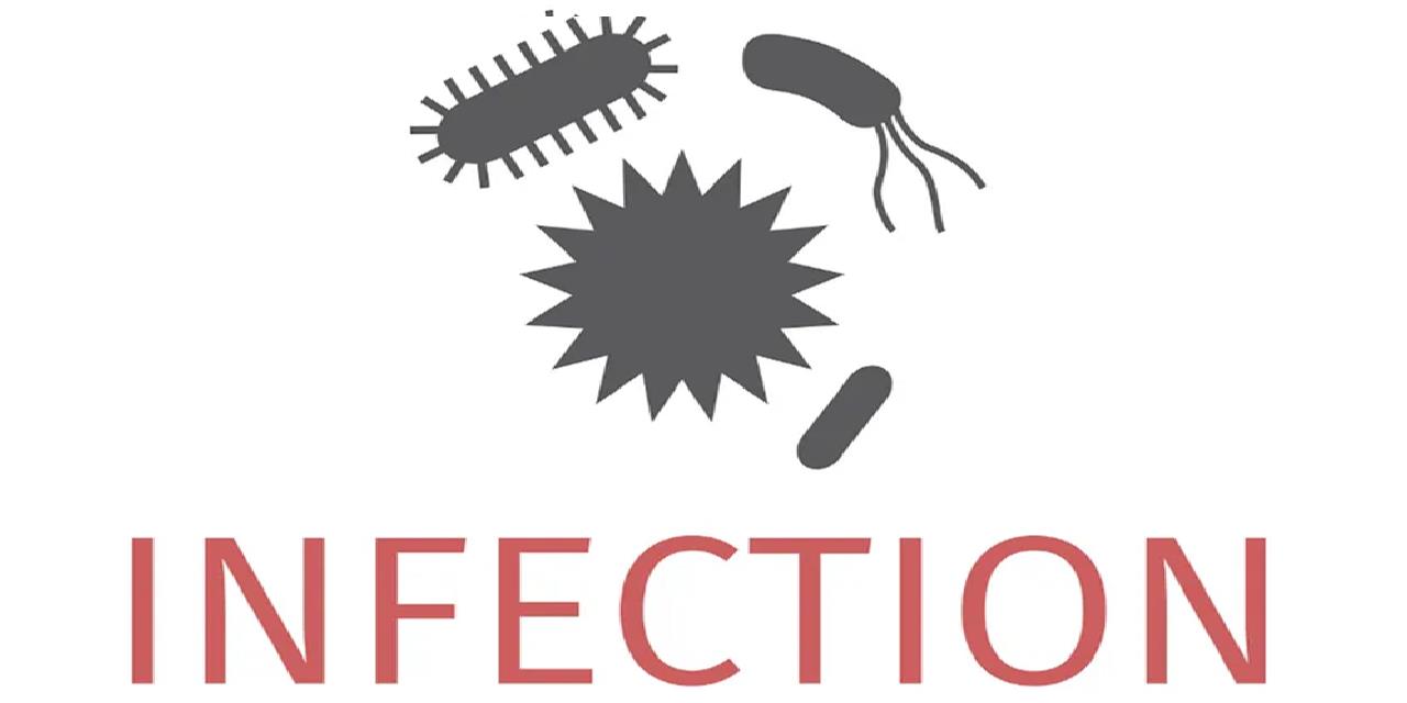 WHO picks center to support foodborne disease work