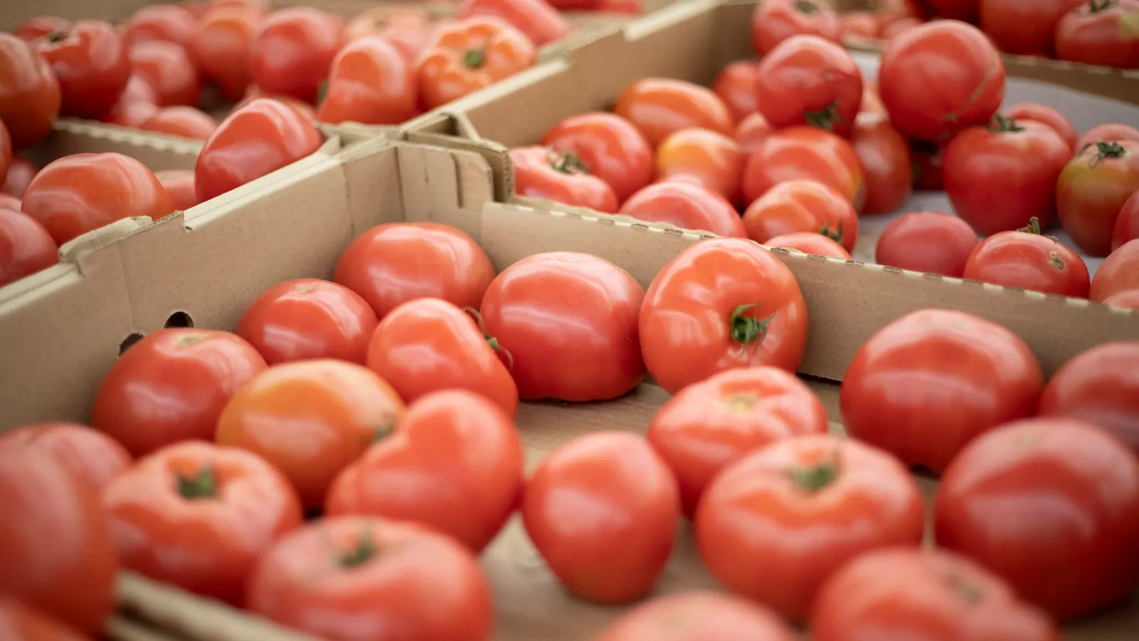 Exactly how grocers are organizing food traceability requirements