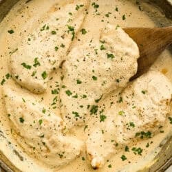 Thirty Minutes Cream Cheese Chicken