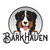 BarkHaven Brings The Luck This March With Weeklong St. Paw-trick's Pawty And More Can't Miss Events