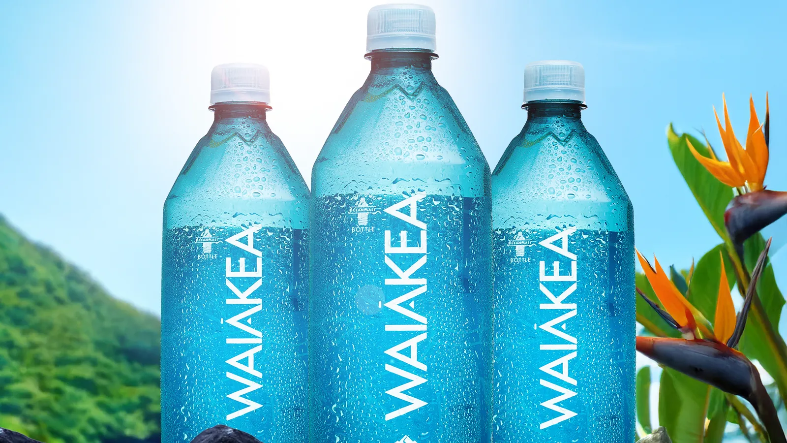 A 'driver for change': How Waiākea is pioneering sustainable product packaging in bottled water