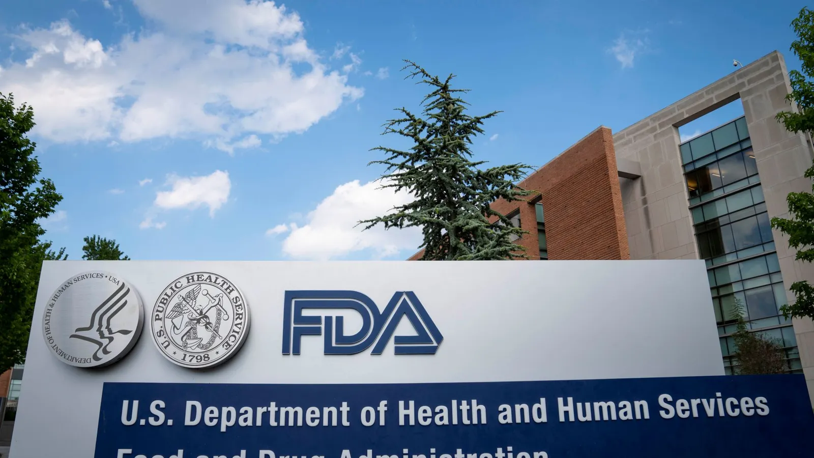FDA hold-ups authorization of 2 healthy food dyes adhering to safety objections