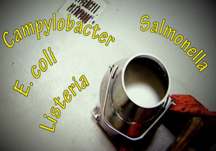 Sunday Version: King Raw