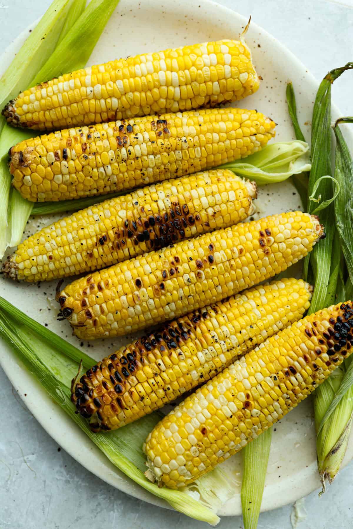 Plate of grilled corn cobs. 