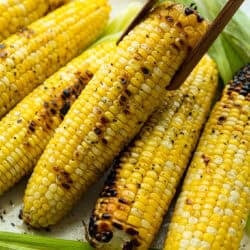 Memorial Day Food Selection Plan