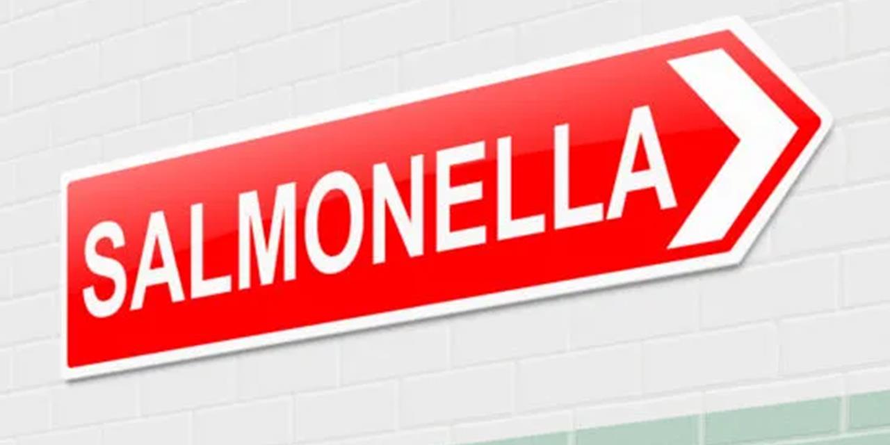 English foodborne illness figures remain at high levels