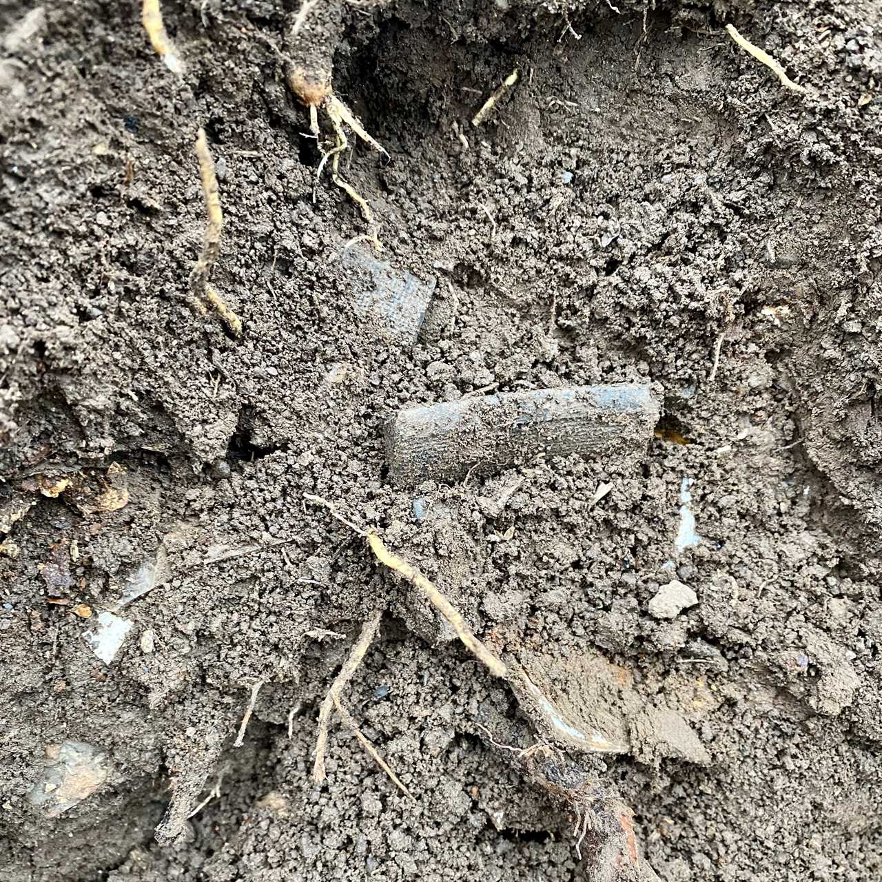 Found Underground: Artifacts Discovered at 1750 Home