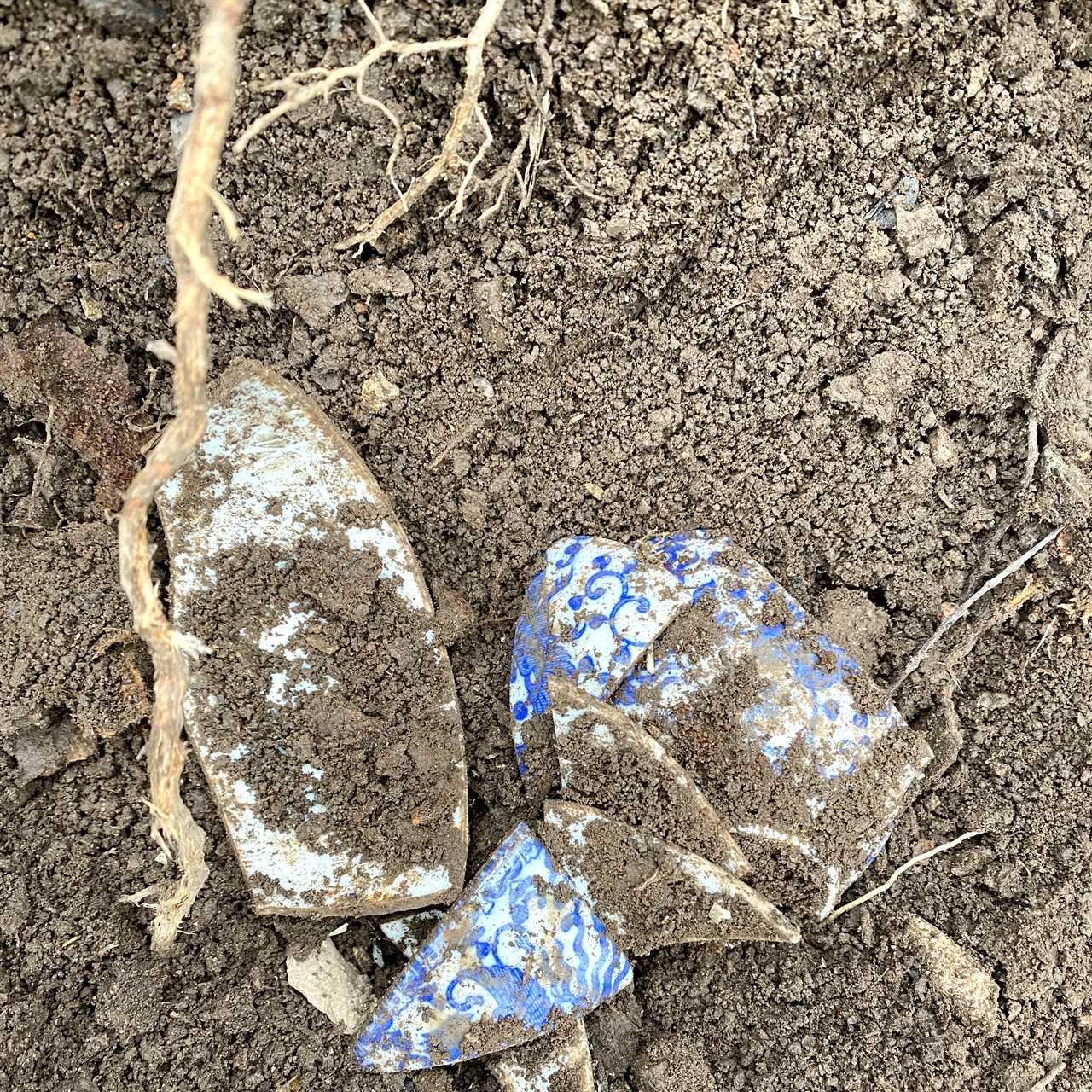 Found Underground: Artifacts Discovered at 1750 Home