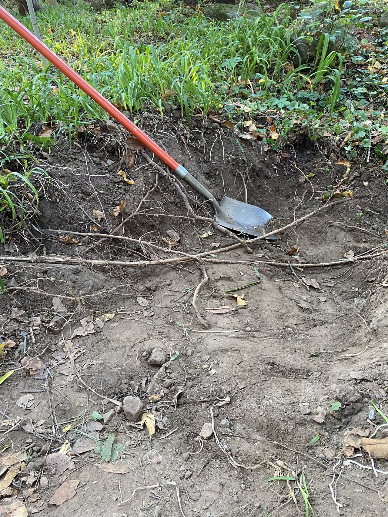 Found Underground: Artifacts Discovered at 1750 Home