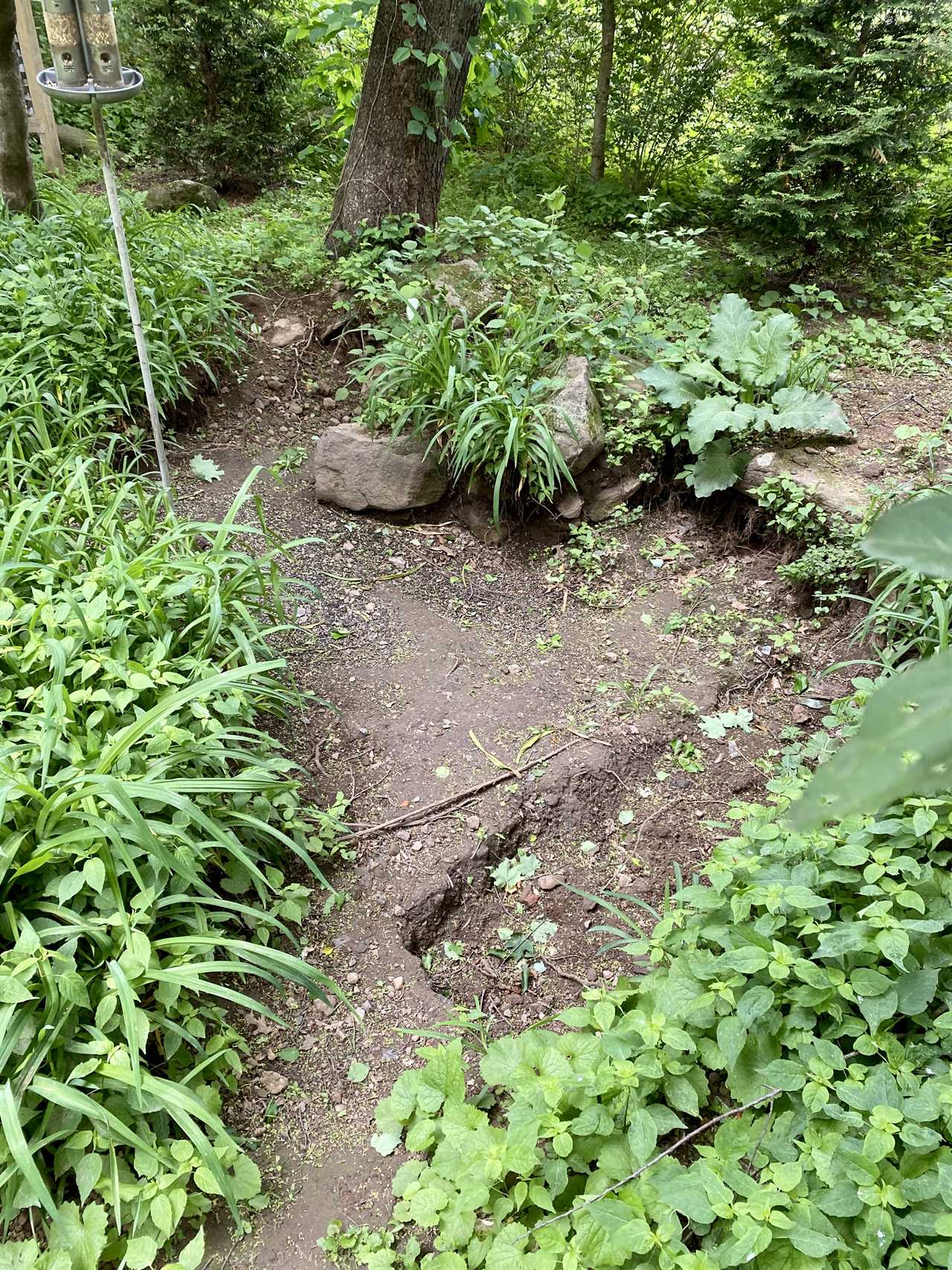 Found Underground: Artifacts Discovered at 1750 Home