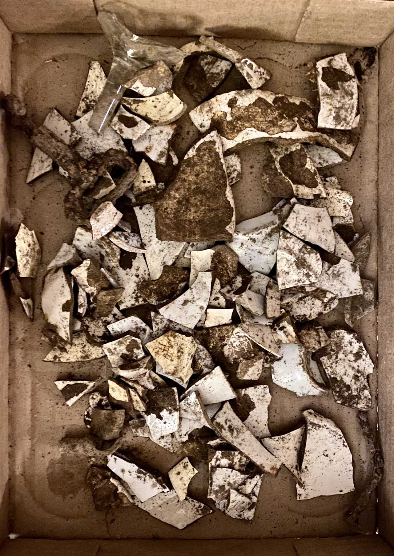 Found Underground: Artifacts Discovered at 1750 Home