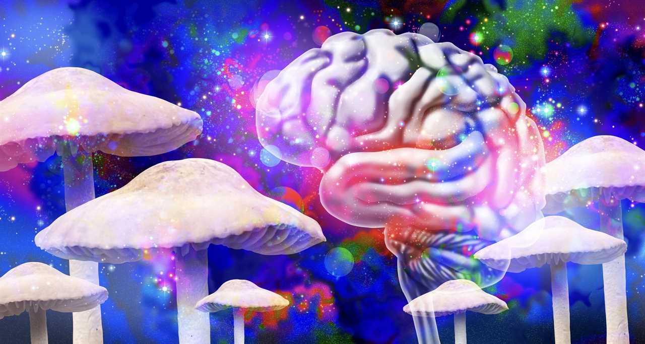 Sunday Edition: Shrooms